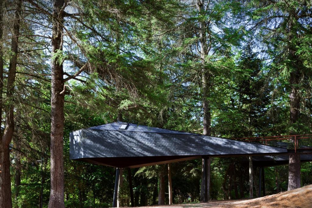 Tree House
